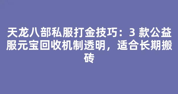 天龙八部私服打金技巧：3 款公益服元宝回收机制透明，适合长期搬砖